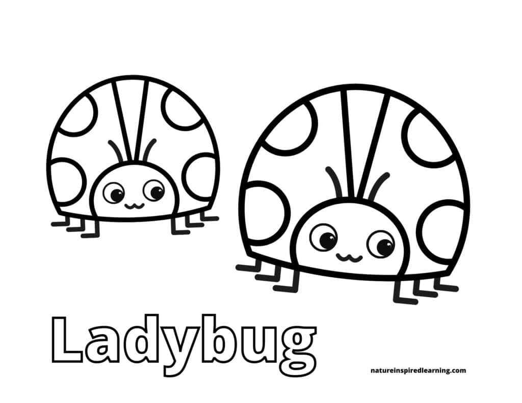 Ladybug coloring pages and printables for kids