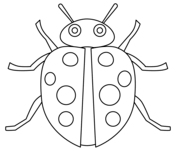 Ladybug coloring pages free coloring pages