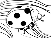 Ladybug coloring pages free coloring pages