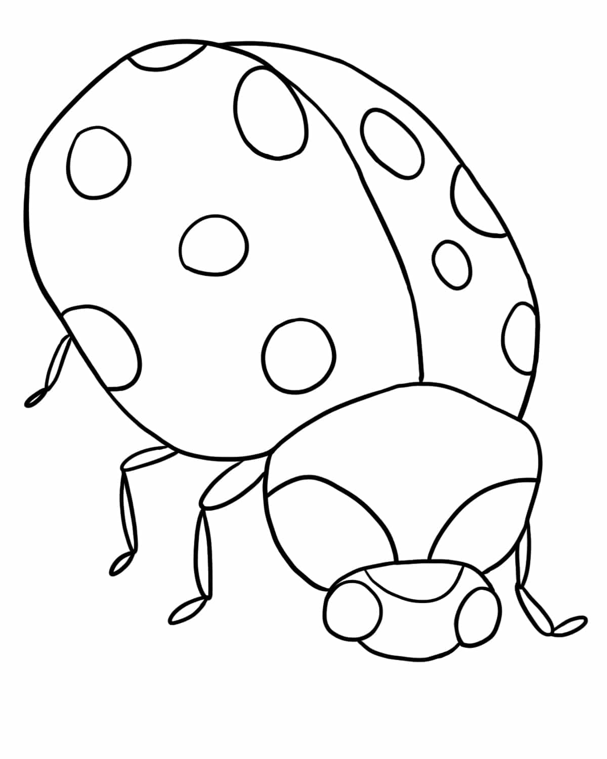 Ladybug coloring pages drawings