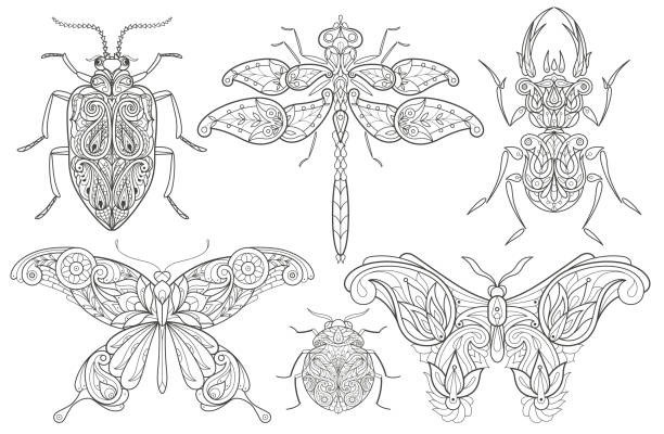 Lady bug coloring pages stock illustrations royalty