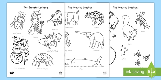 The grouchy ladybug words coloring sheet teacher