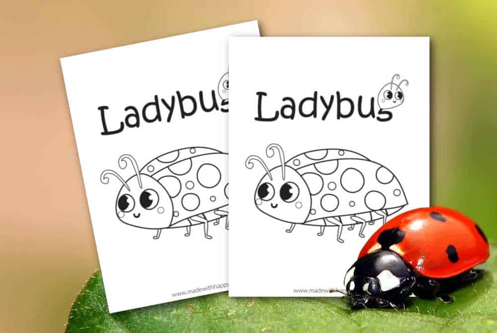 Ladybug coloring page