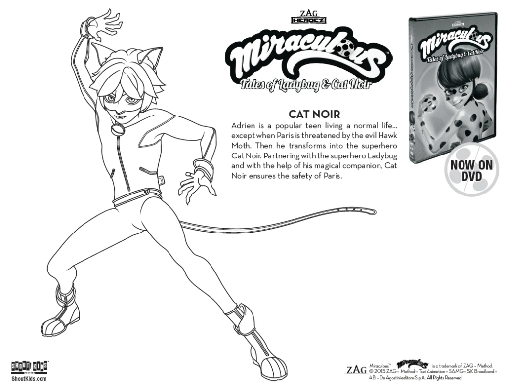 Miraculous tales of ladybug cat noir coloring sheets