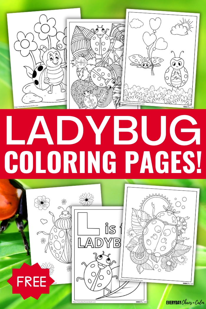 Free ladybug coloring pages for kids