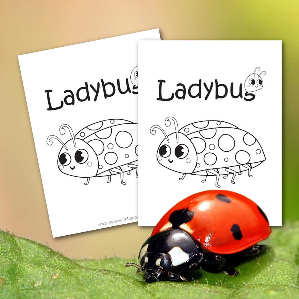 Ladybug coloring pages â