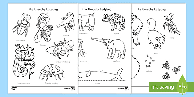 The grouchy ladybug words coloring sheet teacher