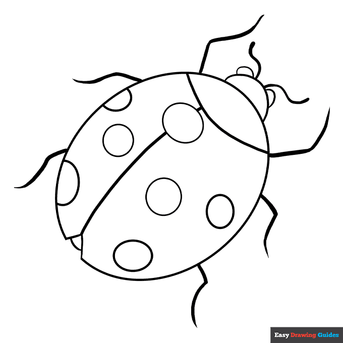 Ladybug coloring page easy drawing guides