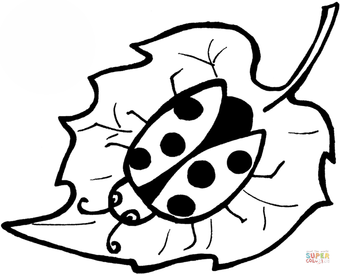 Ladybird on a leaf coloring page free printable coloring pages