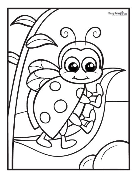 Printable ladybug coloring pages â sheets to color