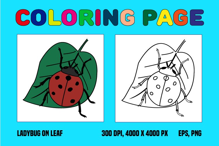 Ladybug on leaf coloring page