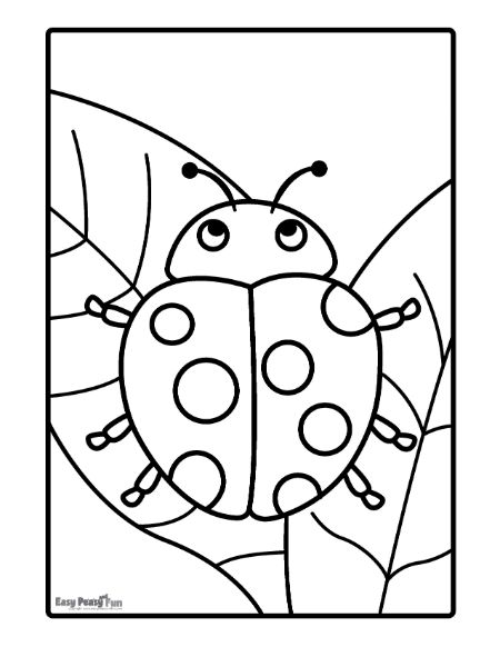 Printable ladybug coloring pages â sheets to color