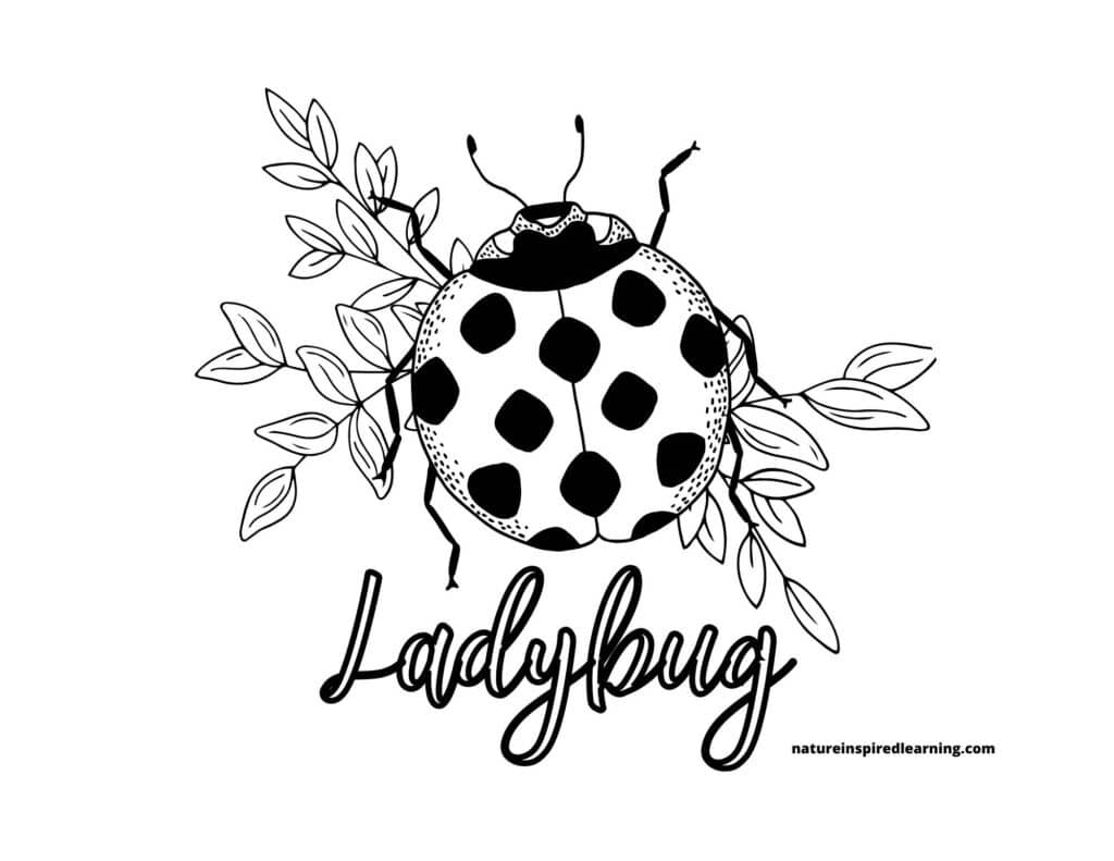 Ladybug coloring pages and printables for kids