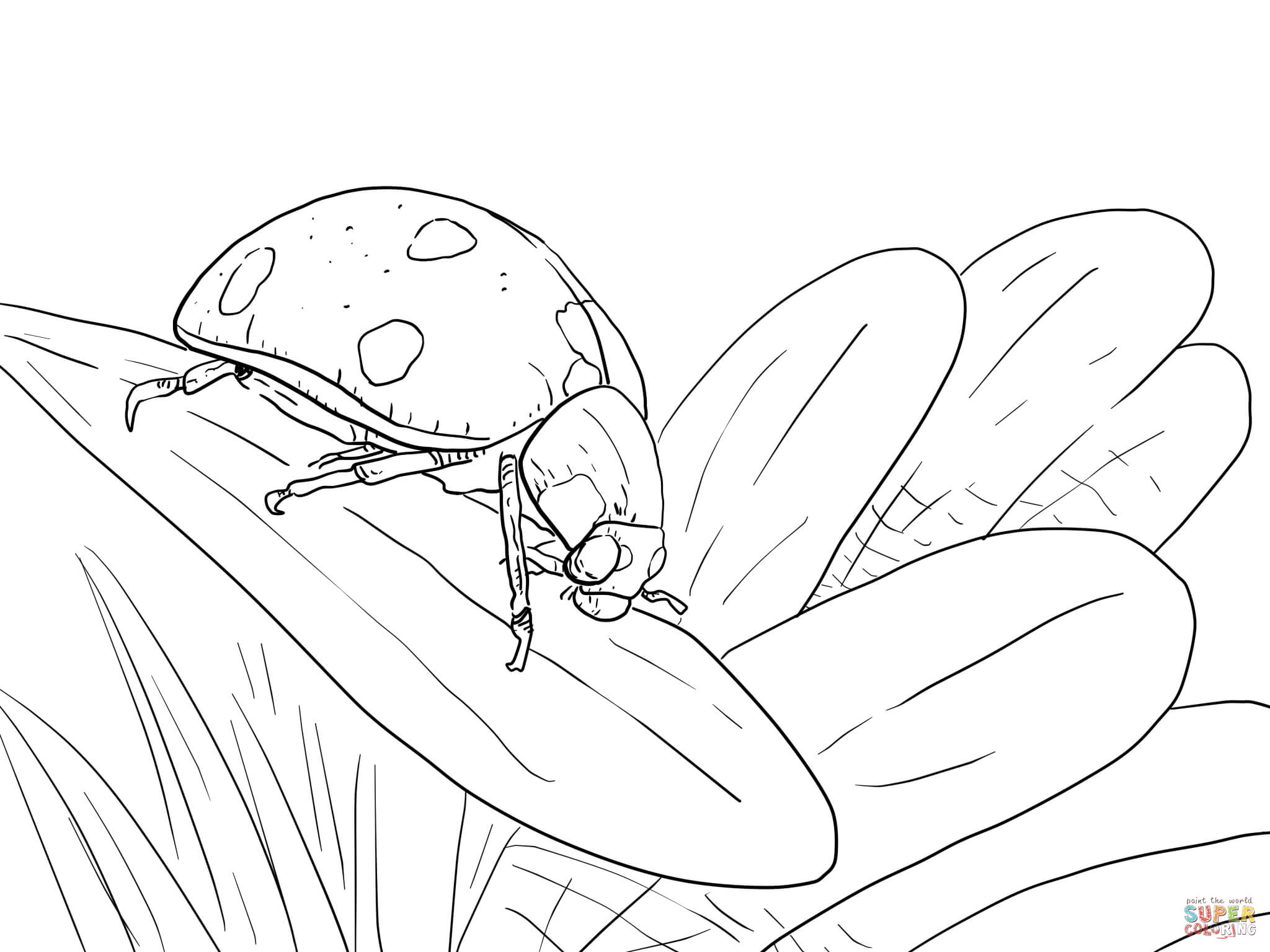 Ladybug on leaf coloring page free printable coloring pages