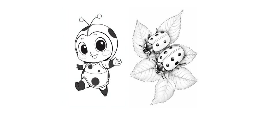 Ladybug coloring pages