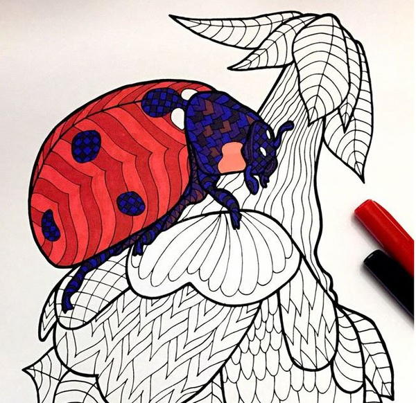 Zentangle ladybug coloring page