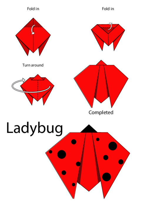 Easy origami instructions â ladybug