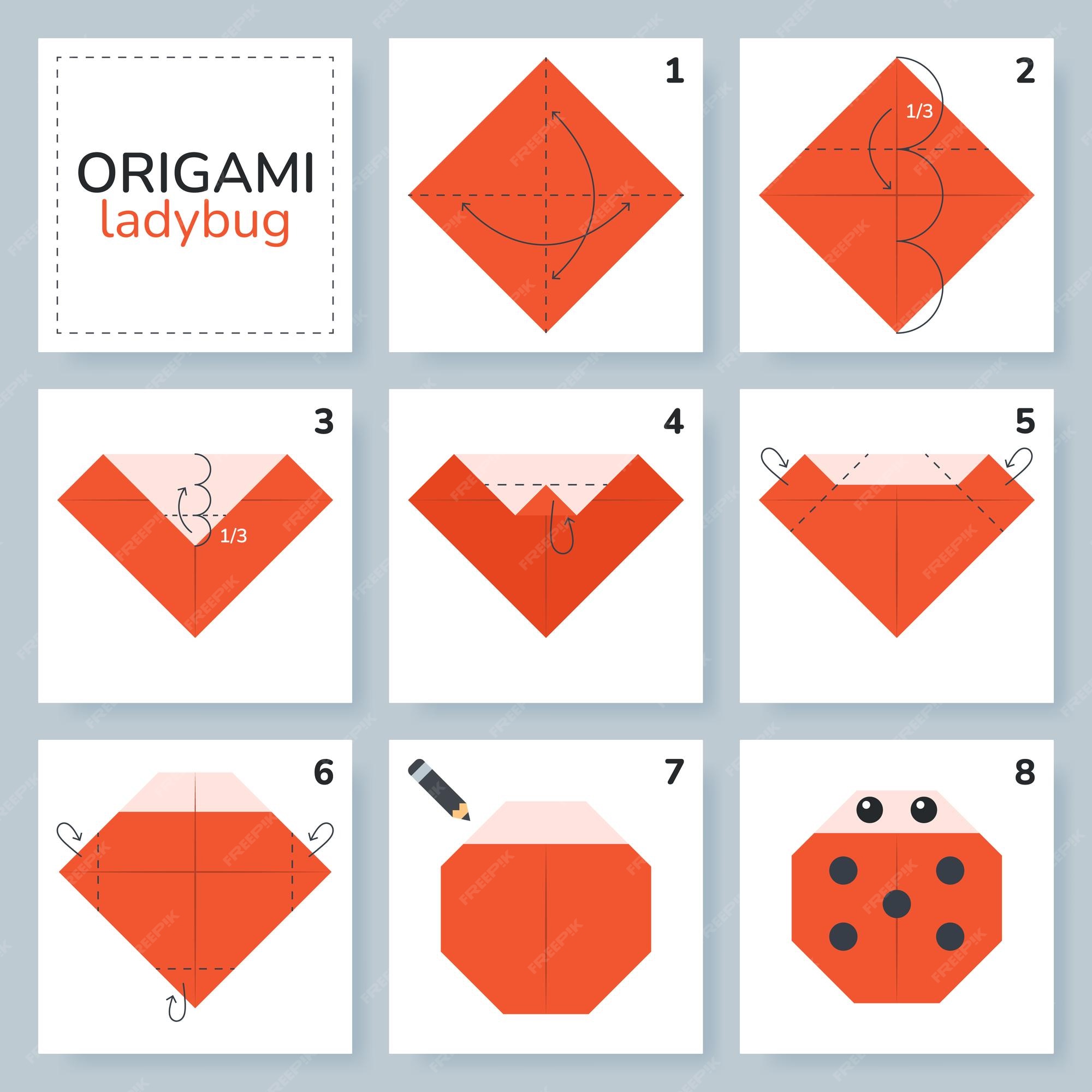 Premium vector ladybug origami scheme tutorial moving model origami for kids step by step