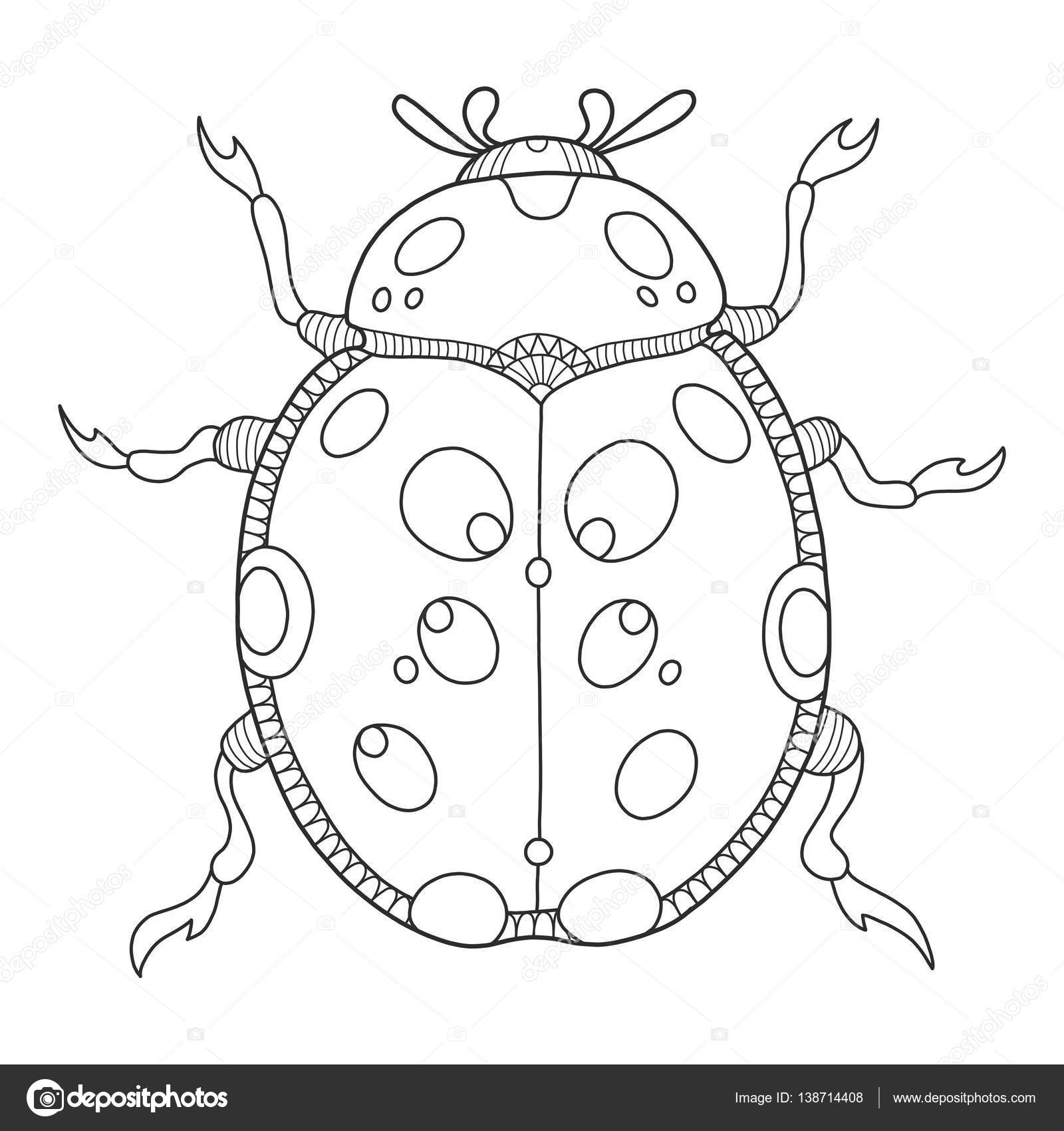 Ladybug coloring book vector illustration stock vector by alexanderpokusay