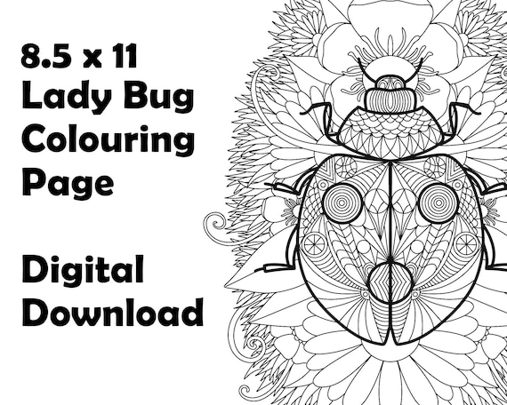 Geometric ladybug coloring page x printable flower leaf background instant digital download personal use only