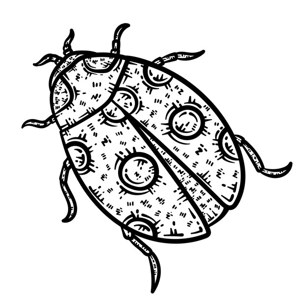 Premium vector lady bug animal coloring page for adults