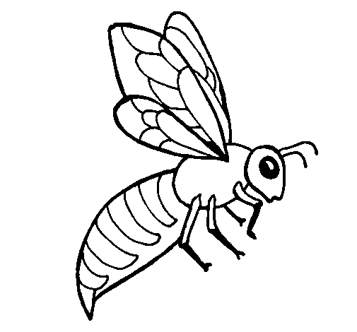 Bee coloring page