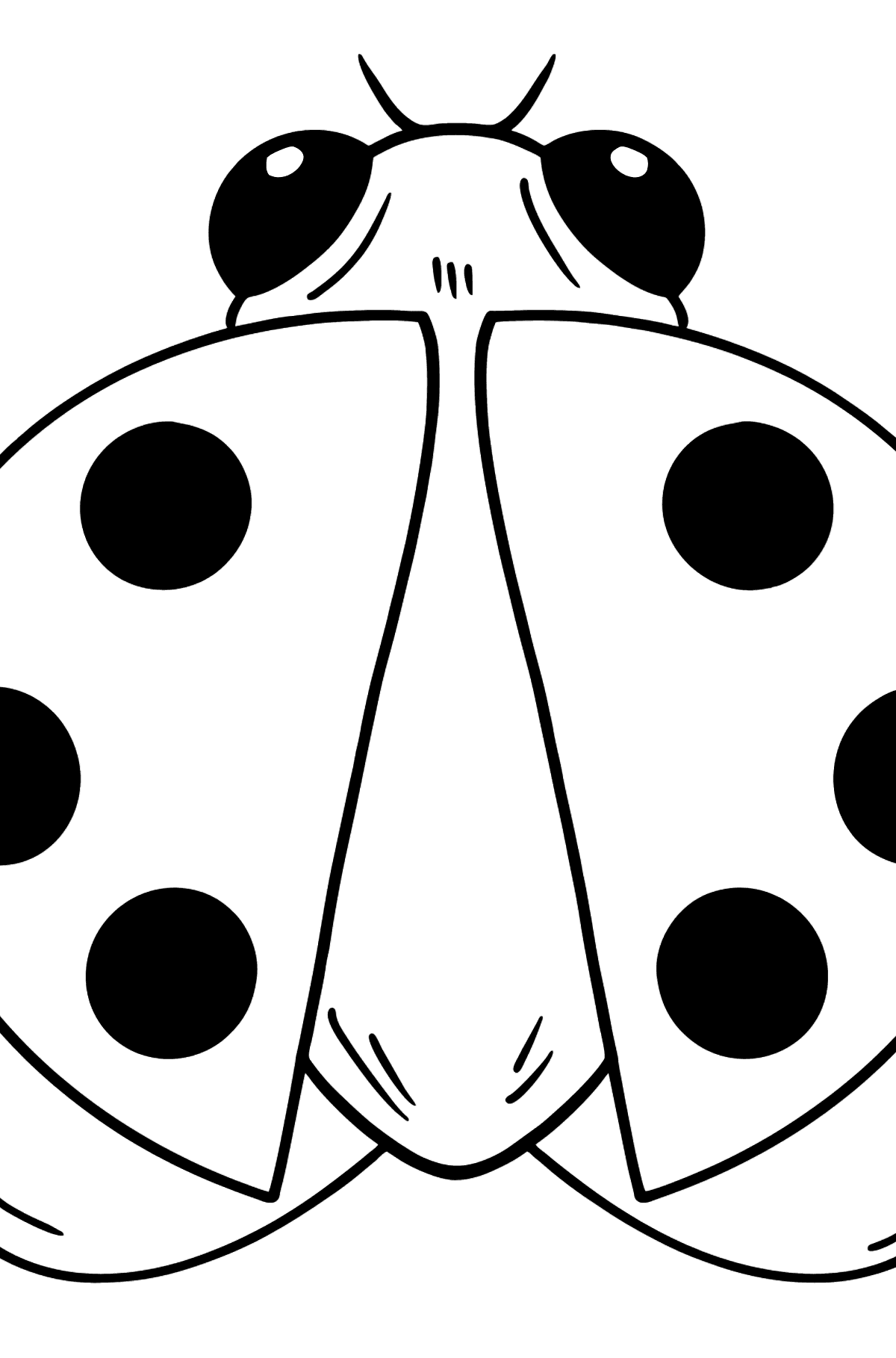 Insects coloring pages â print and online free