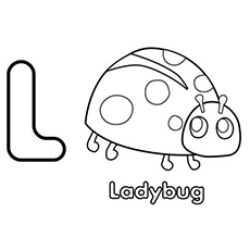 Ladybug coloring pages