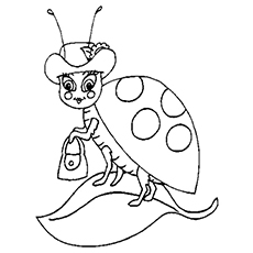 Ladybug coloring pages