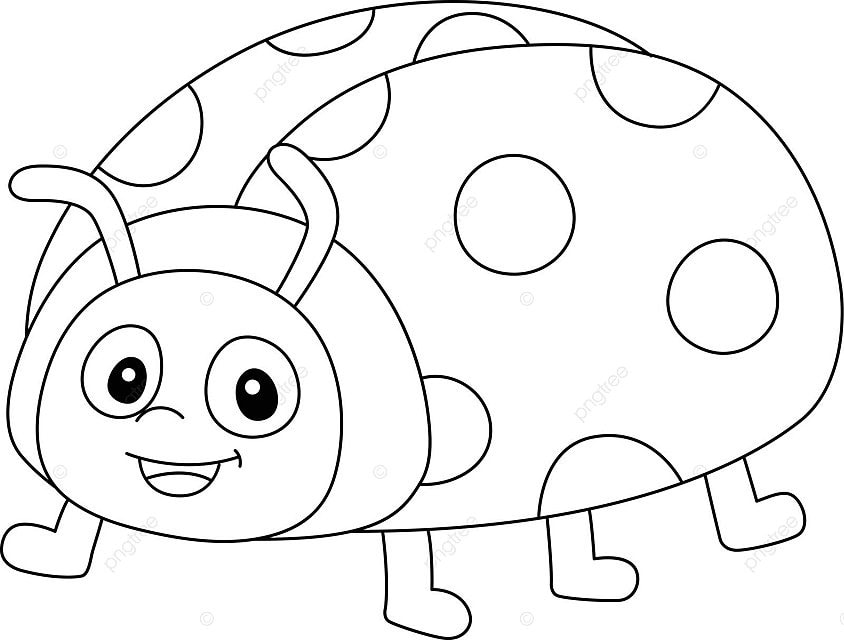 Ladybug coloring page isolated for kids page colouring book line vector book drawing bug drawing ring drawing png and vector with transparent background for free download