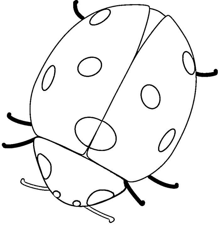 Free printable ladybug coloring pages for kids bug coloring pages ladybug coloring page animal coloring pages