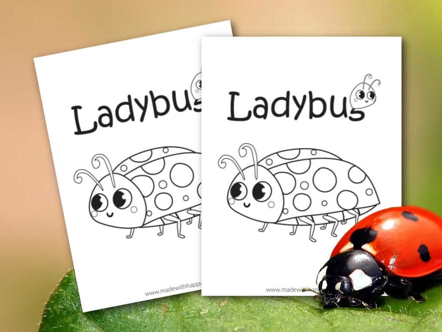 Ladybug coloring page