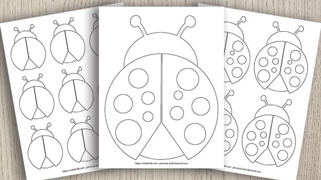 Free printable ladybug templates cute for coloring crafts