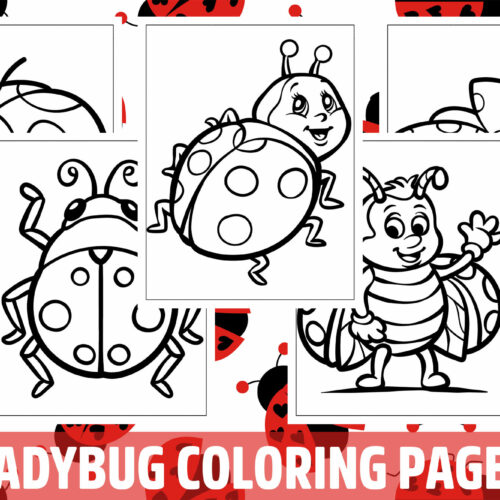 Ladybug coloring pages for kids girls boys teens birthday school activity made by teachers