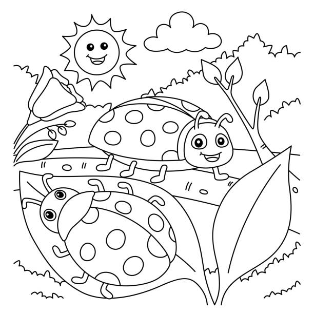Lady bug coloring pages stock illustrations royalty