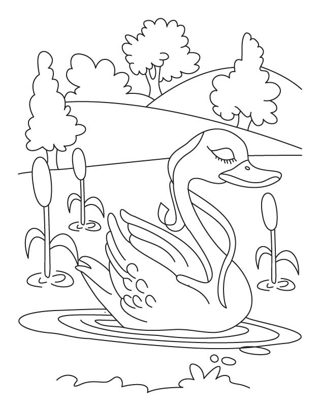 Swan in lake coloring page download free swan in lake coloring page for kids best coloring pages