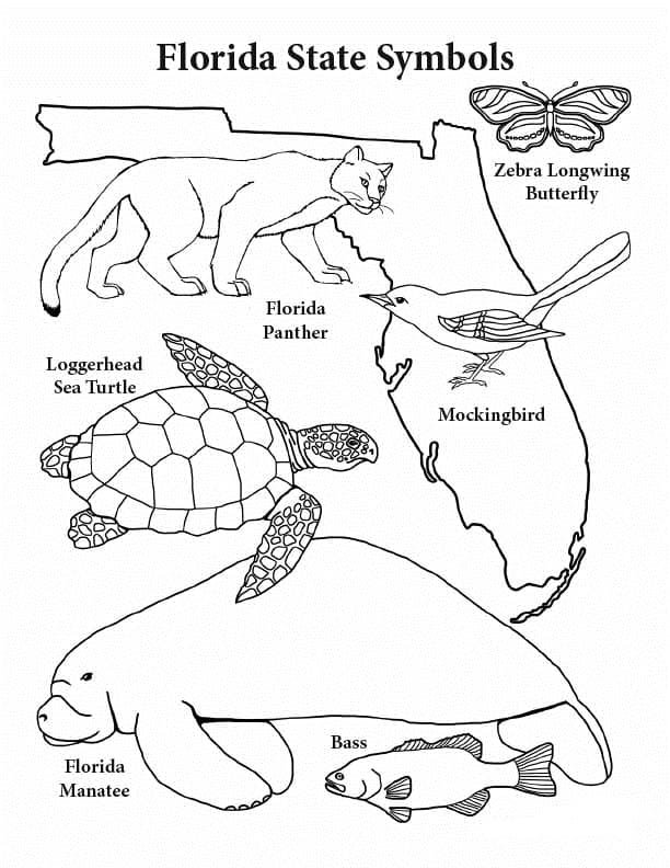 Florida coloring pages printable for free download