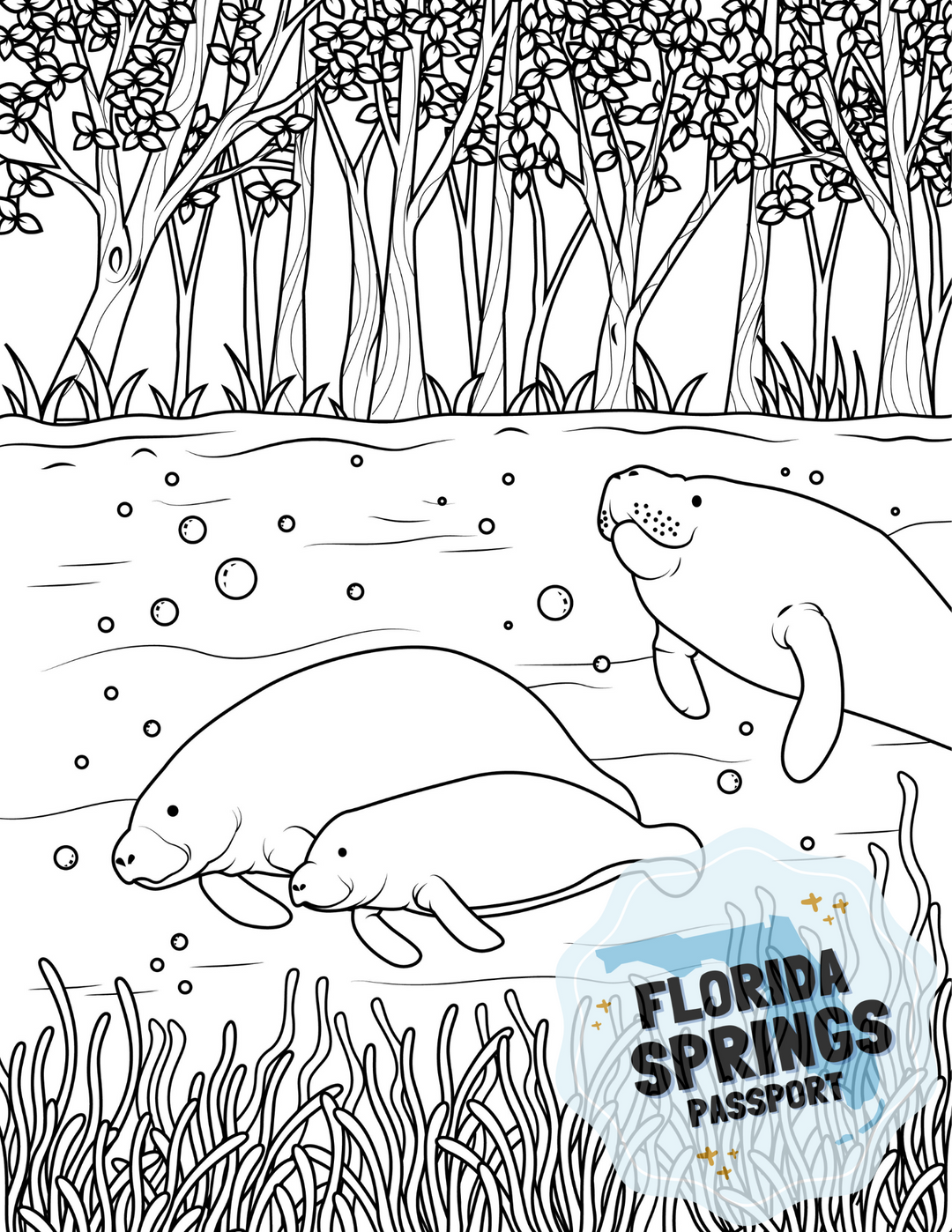 Florida springs coloring pages â florida springs passport