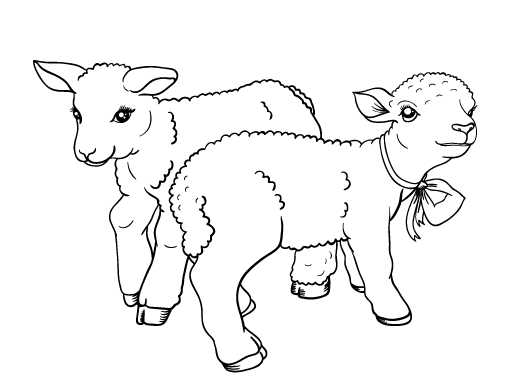 Free lamb coloring page