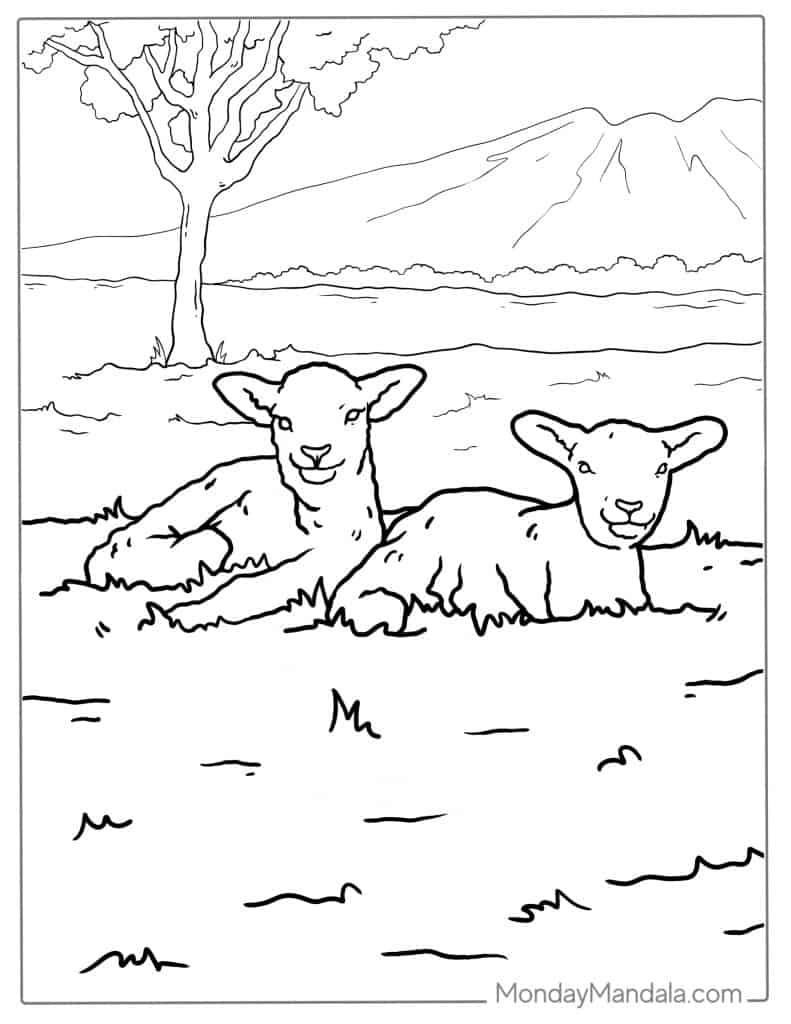 Sheep coloring pages free pdf printables