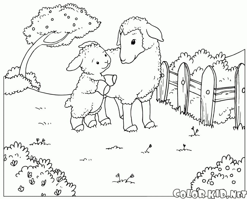 Coloring page