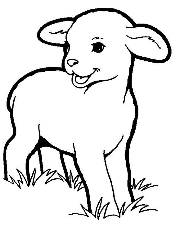 Lamb coloring pictures a young sheep coloring sheet animal coloring pages coloring pictures sheep drawing