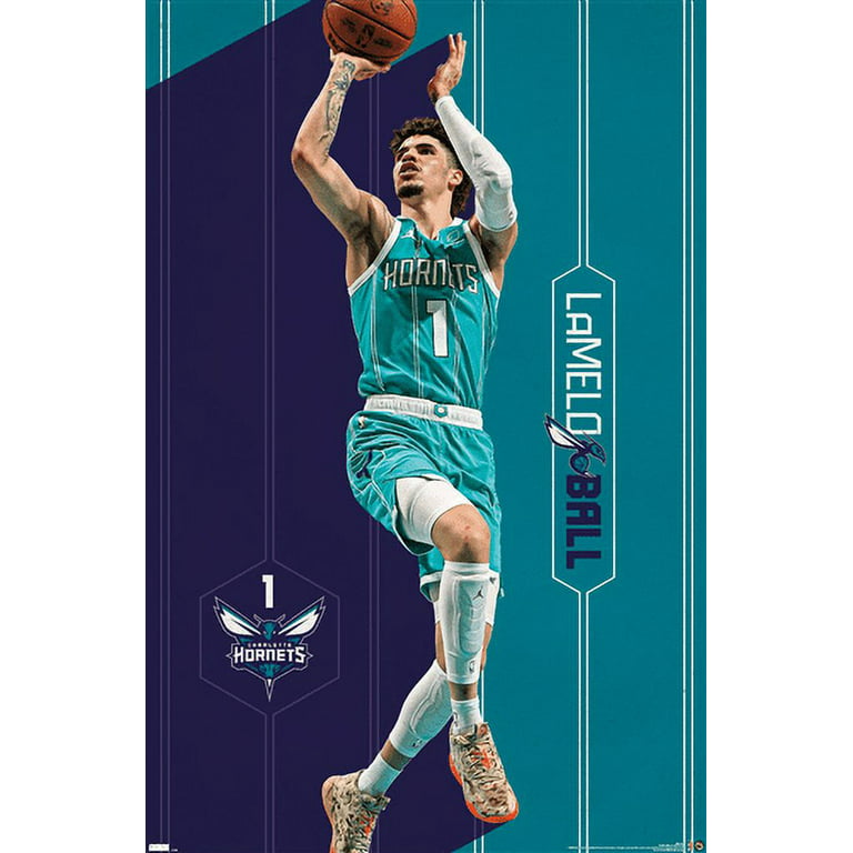 Nba charlotte hornets