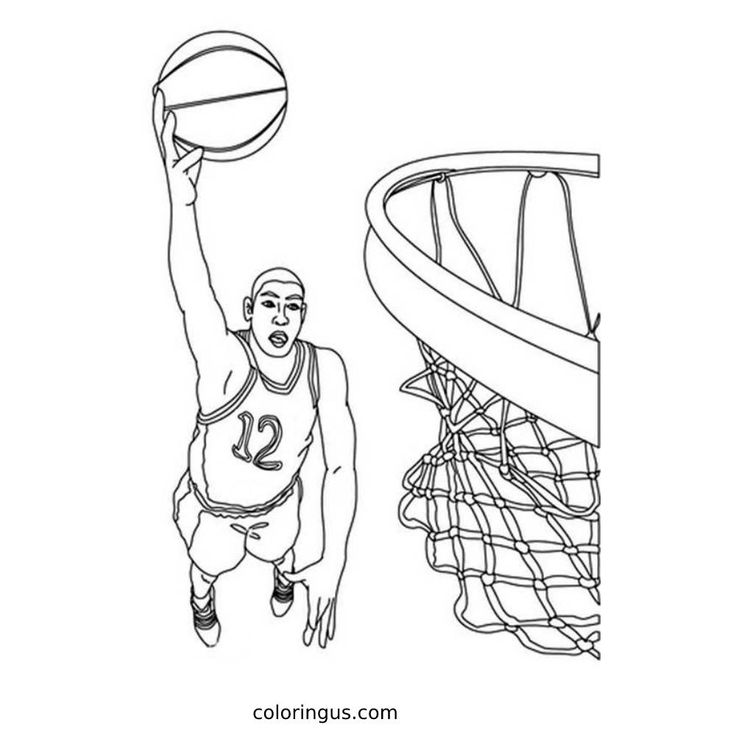 Basketball coloring pages coloring pages adult coloring pages bunny coloring pages