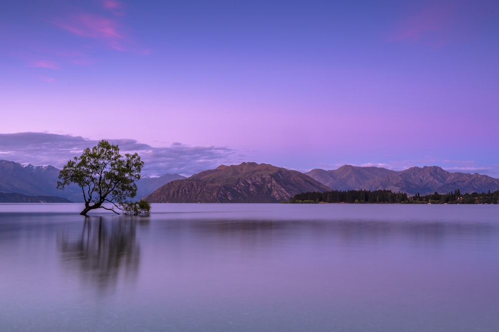 Beautiful 3D Nature and Landscape Wallpaper, Japanese Park with Cherry  Blossom Tree, Generative Ai Stock Photo - Image of amazing, ambient:  269129436