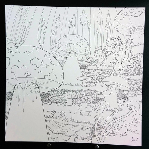 Legendary landscapes coloring book journey â