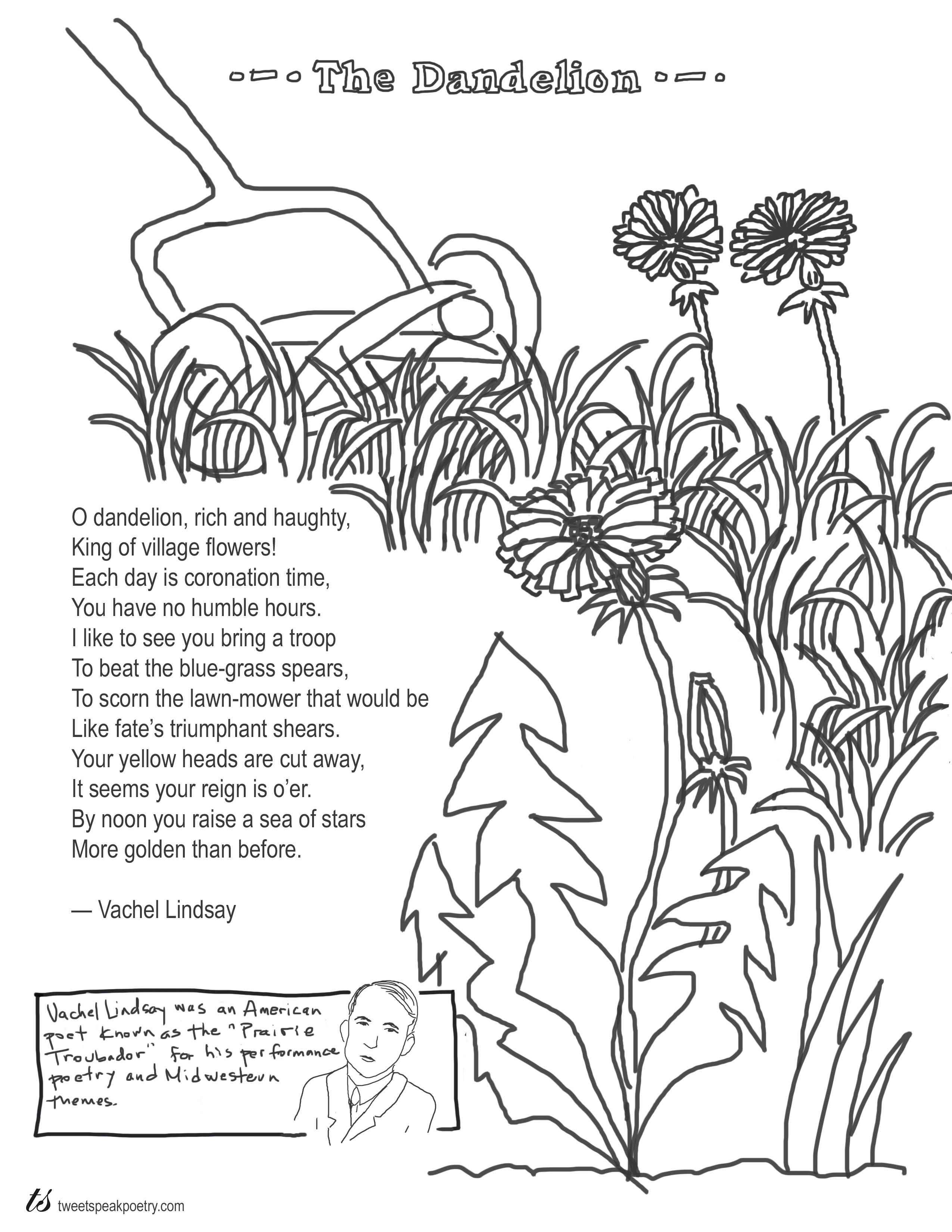 The dandelion by vachel lindsay coloring page poem