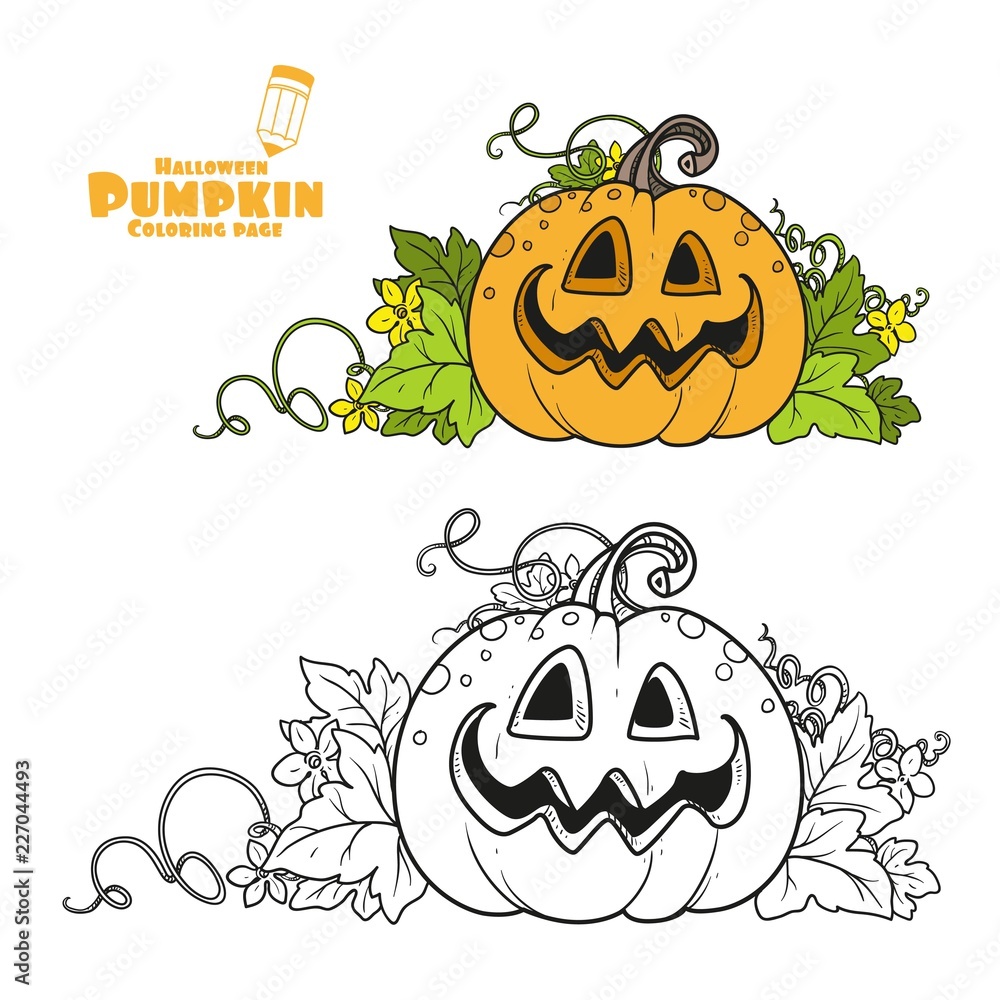 Funny lantern from pumpkin with the cut out of grin and leaves color and outlined for coloring page vector