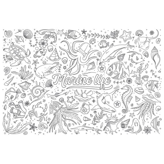 Big coloring sheet for kids huge coloring sheets x coloring sheet sea life coloring homeschool drawing