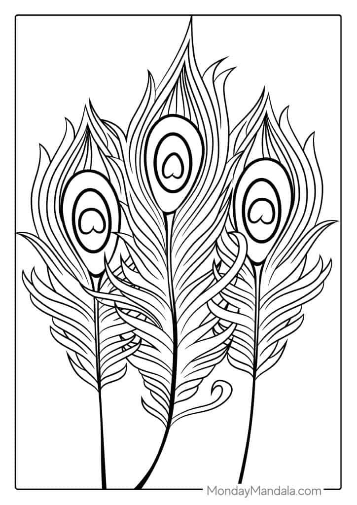 Peacock coloring pages free pdf printables